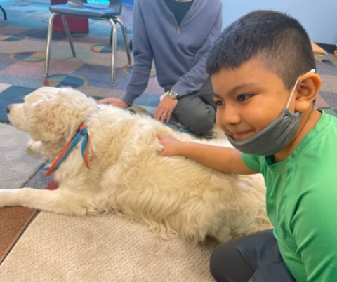 Child reading to a therapy dog