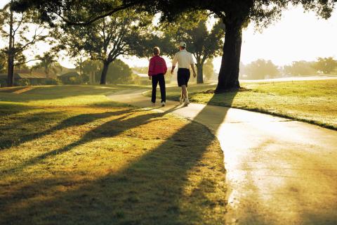 Two people walking in a park on a sunny day.