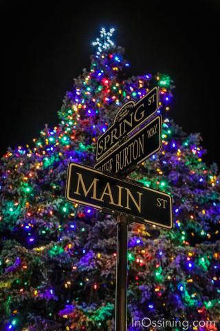 Christmas Tree with street sign in front of it and a black sky in the background.