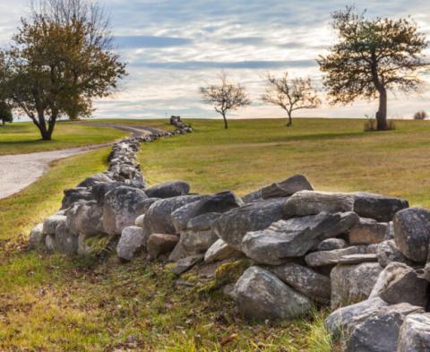 Blue sky, trees, green grass and stone wall.